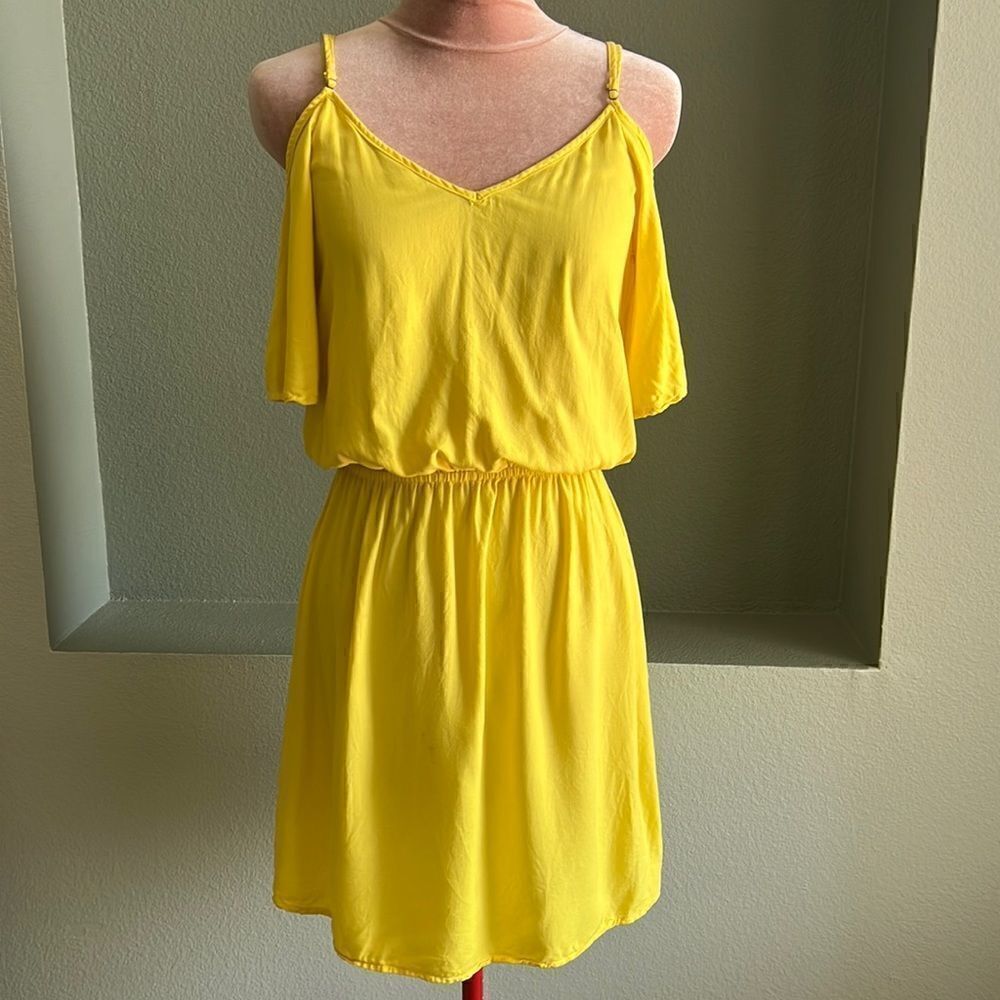 Splendid Dress  